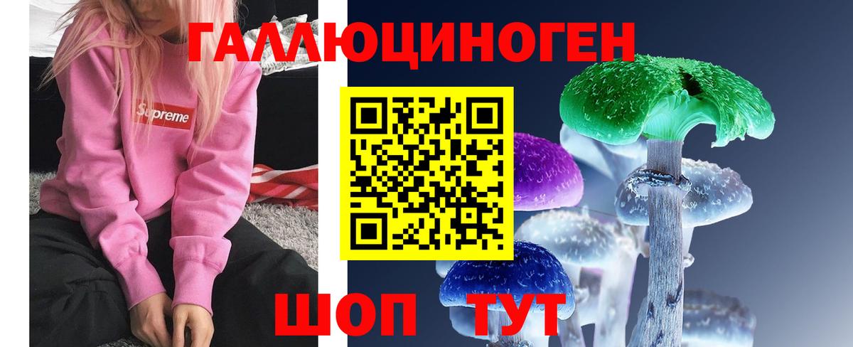 Псилоцибиновые грибы Psilocybine cubensis  Вход с VPN  Сатка  Псилоцибиновые грибы MAGIC MUSHROOMS 